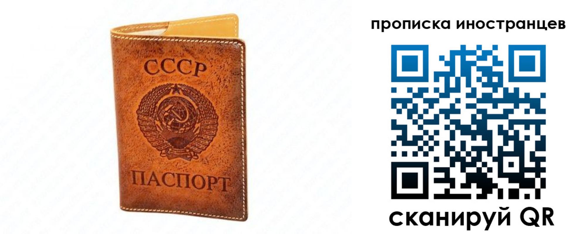прописка для школы в Будённовске